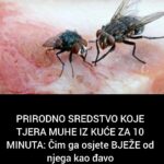 Ako imate mleveno meso nemojte praviti ćufte dok ne vidite ovaj recept