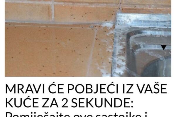 MRAVI ĆE POBJEĆI IZ VAŠE KUĆE ZA 2 SEKUNDE: Pomiješajte ove sastojke i SPASITE SE, TRIK KOJI PROVJERENO RADI!