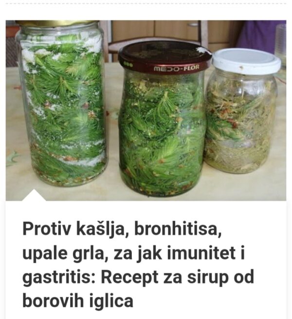 SIRUP OD BOROVIH IGLICA PROTIV KASLJA, BRONHITISA, UPALE GRLA ZA JAK IMUNITET