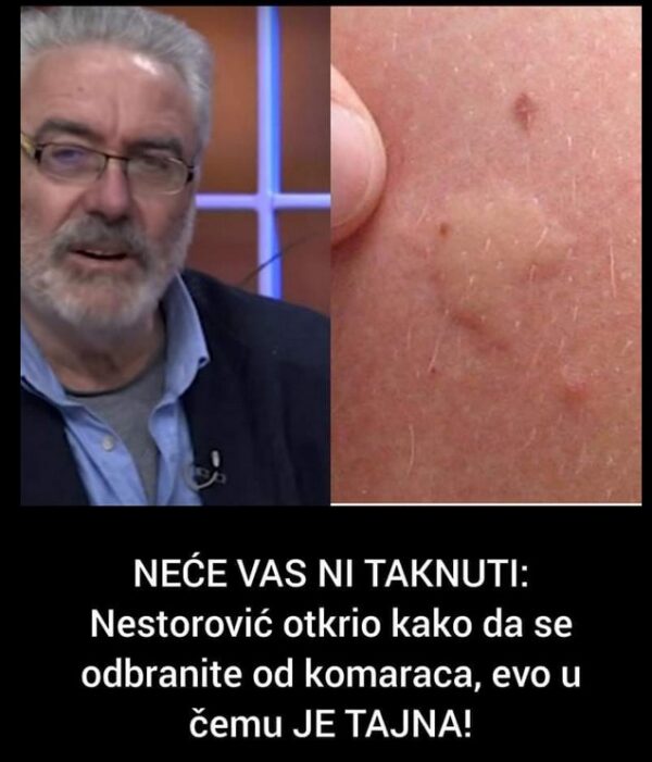NEĆE VAS NI TAKNUTI: Nestorović otkrio kako da se odbranite od komaraca, evo u čemu JE TAJNA!