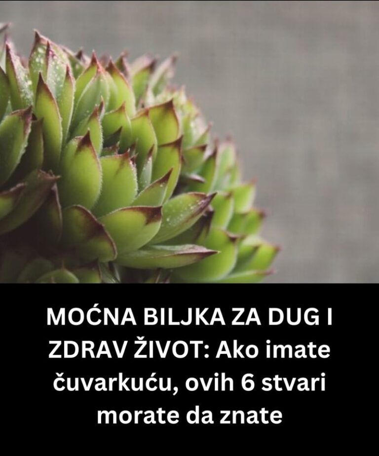 391728139_895511362141528_45248300005439553_n