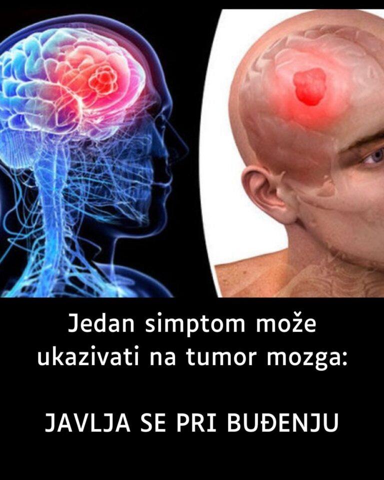 417440159_10223690706005887_5229377594851766724_n