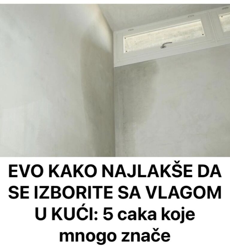 441500893_822543369906022_6484828325300150236_n