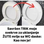 Savršen TRIK moje svekrve za uklanjanje ŽUTE mrlje sa WC daske: Kao nov je!