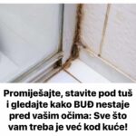 Promiješajte, stavite pod tuš i gledajte kako BUĐ nestaje pred vašim očima: Sve što vam treba je već kod kuće!