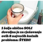 1 šolja obične SOLI dovoljna je za rješavanje ovih 8 najvećih kućnih problema: ŠTEDI