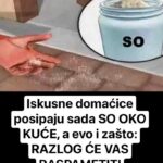 Iskusne domaćice posipaju sada SO OKO KUĆE, a evo i zašto: RAZLOG ĆE VAS RASPAMETITI