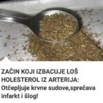 ZAČIN KOJI IZBACUJE LOŠ HOLESTEROL IZ ARTERIJA: OTČEPLJUJE KRVNE SUDOVE, SPREČAVA INFARKT!