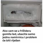 Ako vam se u frižideru gomila led, ubacite samo jednu namirnicu i problem će biti riješen