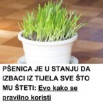 PŠENICA JE U STANJU DA IZBACI IZ TIJELA SVE ŠTO MU ŠTETI: Evo kako se pravilno koristi