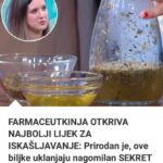 FARMACEUTKINJA 0TKRIVA NAJBOLJI LIJEK ZA ISKAŠLJAVANJE: Prirodan Je, Ove Biljke Uklanjaju Nagomilan SEKRET Za 5 Minuta!