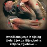 IZVLAČI OTROVE IZ TIJELA BUKVALNO PREKO NOĆI: Rusi ovaj “lijek” koriste vijekovima, preporodićete se poslije samo 1 noći – EVO KAKO SE PRAVI