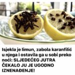 Isjekla je limun, zabola karanfilić u njega i ostavila ga u sobi preko noći: SLJEDEĆEG JUTRA ČEKALO JU JE UGODNO IZNENAĐENJE!