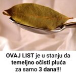 LOVOROV LIST:Spašava srce,leči urinarne infekcije,čisti pluća,smiruje psihu!