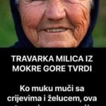 TRAVARKA MILICA IZ MOKRE GORE TVRDI – Ko muku muči sa crijevima i želucem ova trava će mu pomoći