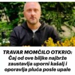 TRAVAR MOMČILO OTKRIO: Čaj od ove biljke najbrže zaustavlja uporni kašalj i oporavlja pluća posle upale