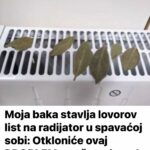 Moja baka stavlja lovorov list na radijator u spavaćoj sobi: Otkloniće ovaj PROBLEM u vašem domu!