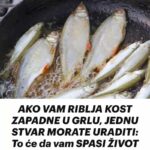 AKO VAM RIBLJA KOST ZAPADNE U GRLU, JEDNU STVAR MORATE URADITI: To će da vam SPASI ŽIVOT