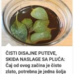 ČISTI DISAJNE PUTEVE, SKIDA NASLAGE SA PLUĆA: Čaj od ovog začina je čisto zlato, potrebna je jedna šolja dnevno!