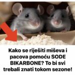 Kako se riješiti miševa i pacova pomoću S0DE BIKARB0NE? To bi svi trebali znati tokom sezone!