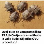 Ovaj TRIK će vam pomoći da TRAJNO otjerate smrdibube iz vaše kuće: Slijedite OVU proceduru!