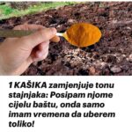 1 KAŠIKA zamjenjuje tonu stajnjaka: Posipam njome cijelu baštu, onda samo imam vremena da uberem toliko!