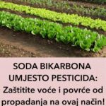 SODA BIKARBONA UMJESTO PESTICIDA: Zaštitite voće ipovrće od propadanja naovaj način! (RECEPT)