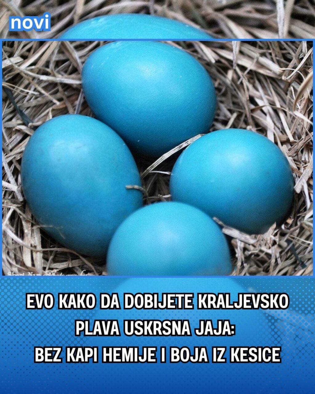 490147098_1246995353659792_4947364121309303821_n