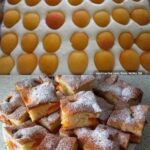 BRZO I LAKO A PREUKUSNO… LJETNI KOLAČ SA KAJSIJAMA