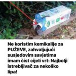 Ne koristim kemikalije za PUŽEVE, zahvaljujući susjedovim savjetima imam čist cijeli vrt: Najbolji istrebljivač za nekoliko lipa!