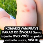 K0MARCI VAM PRAVE PAKA0 0D ŽIV0TA? Samo isijecite 0V0 V0ĆE na pola i ostavite u S0BI, VIŠE IH NIKADA NEĆETE VIDJETI BLIZU!
