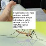 U Kući Više Nećete Naći Paukove, Muhe Ili Prehrambene Moljce: Jednostavno Kućno Rješenje Koje Će Ih TRAJNO Otjerati (RECEPT)!