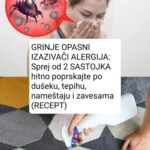 GRINJE OPASNI IZAZIVAČI ALERGIJA: Sprej od 2 SASTOJKA hitno poprskajte po dušeku, tepihu, nameštaju i zavesama (RECEPT)