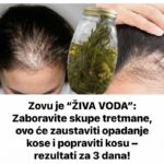 Zovu je “ŽIVA VODA”: Zaboravite skupe tretmane, ovo će zaustaviti opadanje kose i popraviti kosu – rezultati za 3 dana!