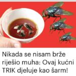Nikada se nisam brže riješio muha: Ovaj kućni TRIK djeluje kao šarm!