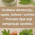 Prirodni lijek koji zamjenjuje apoteku – Uništava demenciju, upale, bolove i artritis
