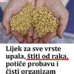 Lijek za sve vrste upala, štiti 0D raka, potiče PR0BAVU i čisti 0RGANIZAM