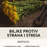 PROTIV NAPADA STRAHA I STRESA: Ne zaboravite da sljedeće biljke mogu pobijediti anksioznost, strah i stres…