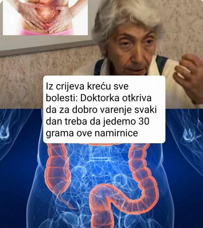 496185427_1224146592406817_6277893207006839347_n
