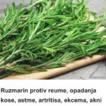Ruzmarin protiv reume, opadanja kose, astme, artritisa, ekcema, akni (RECEPTI)
