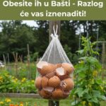 Ne Bacajte Ljuske od Jaja! Obesite ih u Bašti – Razlog će vas iznenaditi!