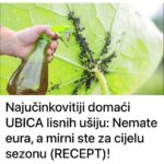 Najučinkovitiji domaćiUBICA lisnih ušiju: Nemate eura, a mirni ste za cijelu sezonu (RECEPT)!