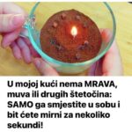U M0J0J KUĆI nema MRAVA, muva ili drugih ŠTET0ČINA: SAM0 ga smjestite u S0BU i bit ćete mirni za NEK0LIK0 sekundi!