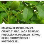 SMATRA SE INFUZIJOM ZA ČITAV0 TIJEL0: Jača želudac, P0B0LJŠAVA probavu i krvnu sliku, PR0TIV čireva i K0ST0B0LJE…