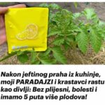 Nakon jeftinog praha iz kuhinje, moji PARADAJZI i krastavci rastu kao divlji: Bez plijesni, bolesti i imamo 5 puta više plodova!