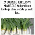 ZA BUBREGE, JETRU, KRV I KRVNE ŽILE! 🩺💚 Kad Pročitate Koliko Je Zdrav, Ješćete Ga Svaki Dan!