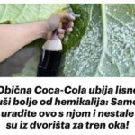 Obična Coca-Cola ubija lisne uši bolje od hemikalija: Samo uradite ovo s njom i nestale su iz dvorišta za tren oka!