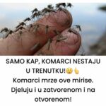 SAMO KAP, KOMARCI NESTAJU U TRENUTKU Komarci mrze ove mirise. Djeluju i u zatvorenom i na otvorenom!