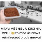 MRAVI VIŠE NISU U KUĆI NI U VRTU! 😲Iznimno učinkovit kućni recept protiv mrava!