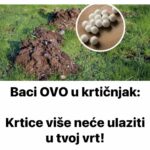 Baci OVO u krtičnjak: Krtice više neće ulaziti u tvoj vrt!